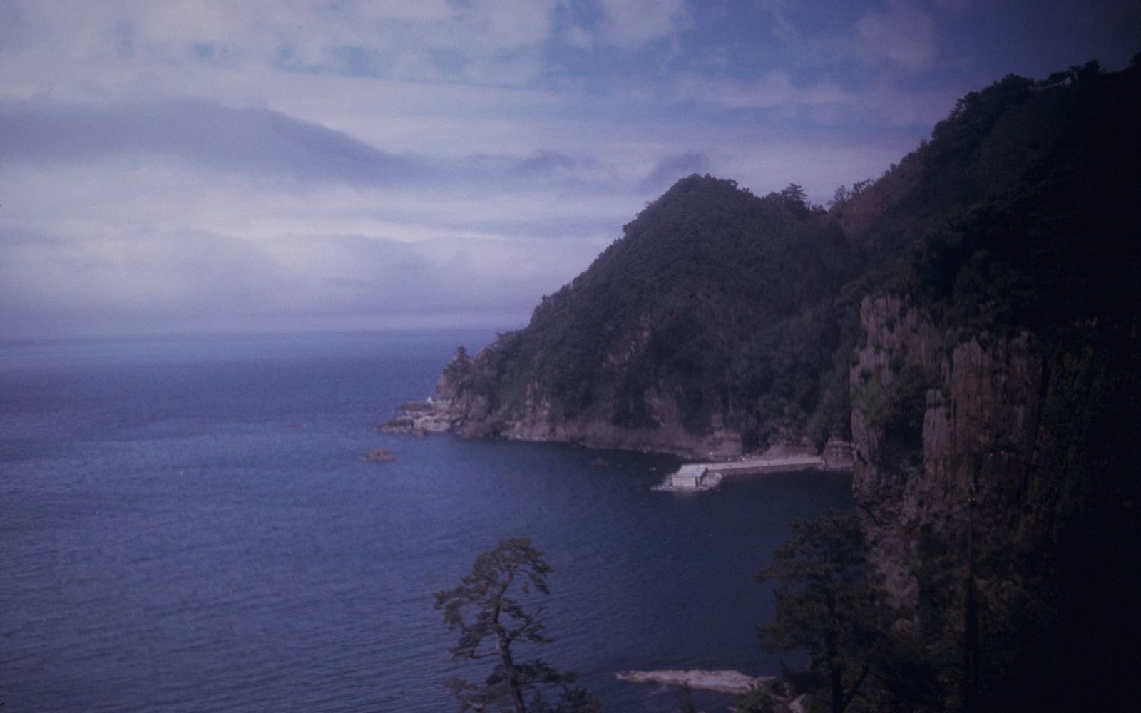 Rocky, tree-covered cliffs jut into calm ocean water under a hazy sky